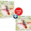 Pack DUO Album CD + Album Numérique MP3 l'Envol du Colibri