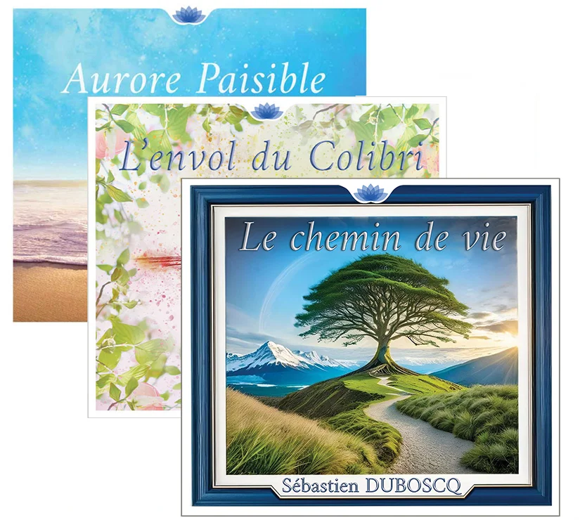 Pack Album Numérique